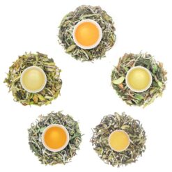 White Tea Sampler - 5 Pack